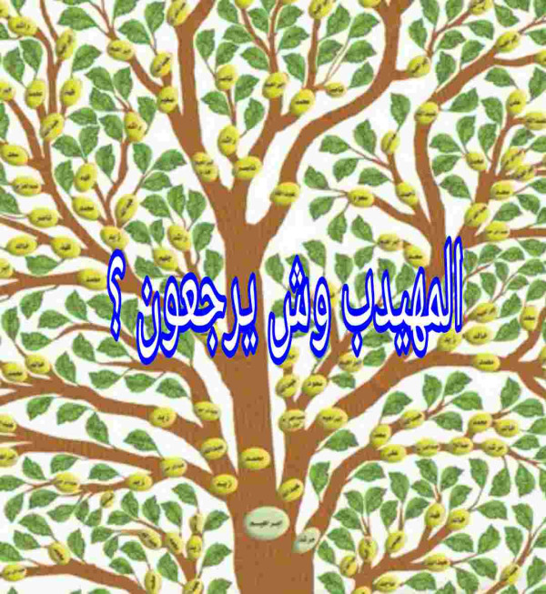 المهيدب وش يرجع، اصل عائلة المهيدب ويكيبيديا، عائلة المهيدب سدير، عائلة المهيدب من القصيم، شجرة عائلة المهيدب ؟