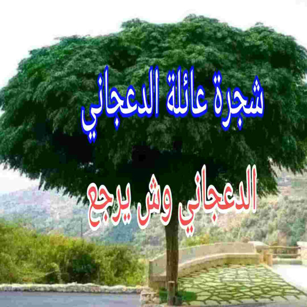 نسب عائلة الدعجاني وش يرجعون