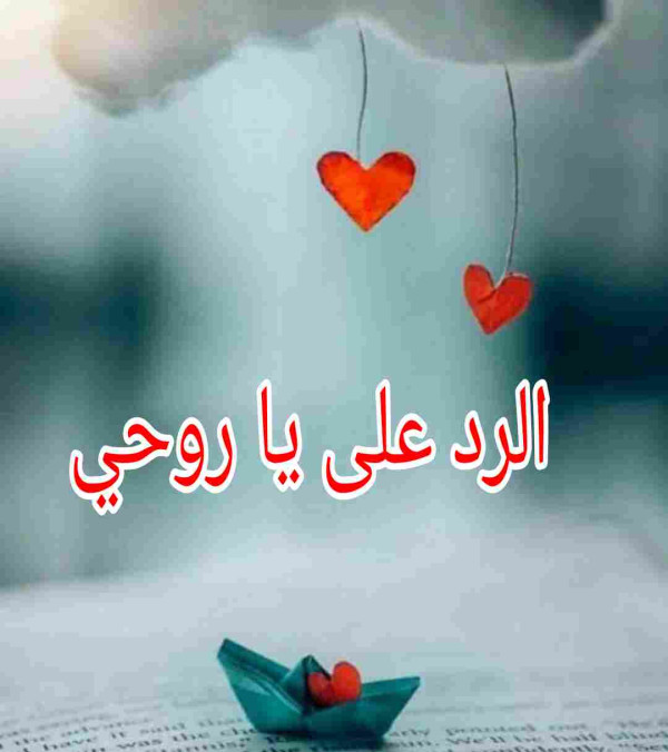 اذا احد قال ياروحي وش ارد ؟ الرد على يا روحي ؟