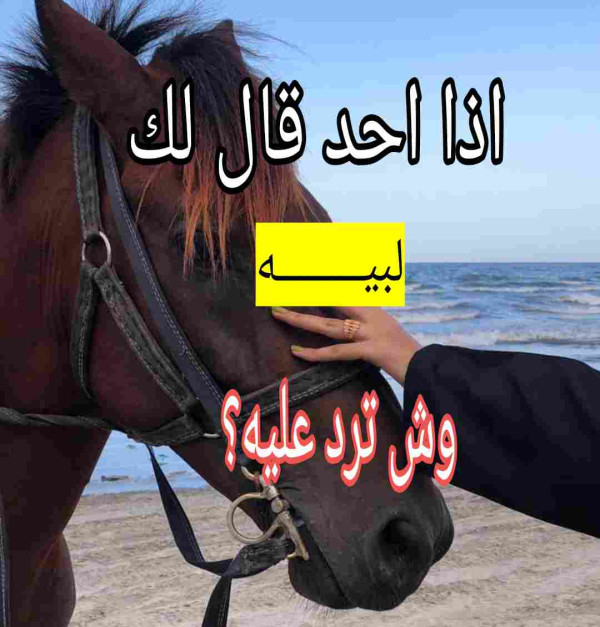 اذا احد قال لبيه وش ارد، الرد على لبيه تويتر، قالي يا لبيه وش اقول، معنى لبيه، لباك وحياك؟